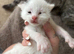 6 beautiful babies