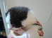Mixed litter for urgent sale