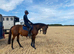 Stunning mare with serious potential