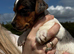 ️ mini Jack Russell&rsquo;s ️