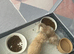 Persian/exotic kittens