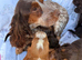 Working type cocker spaniel puppies