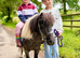 Princess - The Ultimate First Shetland
