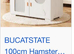 Female hamster and more