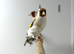 Siberian goldfinch