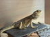 Very Friendly Male Dragon