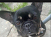 Looking for his forever home