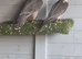 Pair of lanners