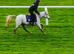 Jumping pony