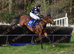 17hh ex national hunt tb