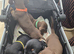 Minature Dachshund Puppies