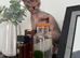 Lykoi Kitten