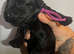 x6 black WC cocker spaniel puppies