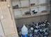 Stock racing pigeons