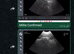 Microchipping Services @ DCFertilityServices