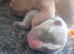 11 puppies 5 girls 6 boys rare Beautiful alpha blue bulldog puppies (born on the 25th)