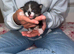 Kittens looking for forever home