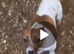 Stunning jack russells