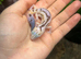 Whiteout Zulu Fat Tailed Gecko at Birmingham Reptiles