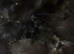 4 black kitten available
