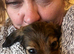 Dachshund cross chihuahua [CHIWEENIE]