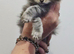 Mainecoon 1 girl left