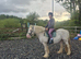 First pony, bombproof, allrounder