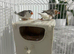 Finches