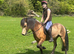 Cwmgwaun Brad (Beau)