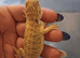 Bearded dragons babies