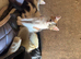 3 kittens ready to leave