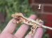 Various crested geckos