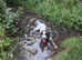 Molly age 6