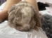 female bunnie