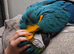 Very friendly Fully tame macaw 2 years old
