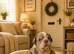 ️Beautiful olde English bulldogs️