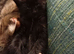 1 female adorable kitten ready now for her forever loving home
