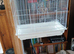 Large White Puerto Rica bird cage with stand