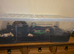 Giant African Land Snails and Set Up