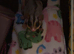 Sugar gliders. Breeding pair