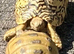 Horsefield Tortiose