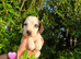 6 beautiful Cocker Spaniels