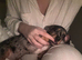 Miniature dachshund puppy.
