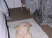 Wanted Pomeranian - please read