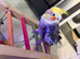 Lovely cockatiel with cage