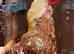 Aseel / Asil mianwali pure imported birds