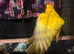 Handreared baby Kakariki