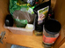 Herman&rsquo;s tortoise and table setup