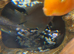 Fish tank including fish. Parrot fish and Polar blue Parrots