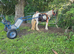 13hh mare